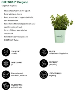 GREENBAR ® Garten- & Heilkräuter|Kräuter-Sets - GREENBAR® Kräuter-Set Vielfalt, 9-teilig Grün