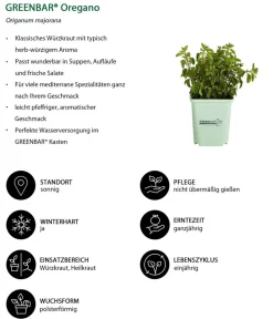 GREENBAR ® Garten- & Heilkräuter|Greenbar-Kräuter - GREENBAR® Oregano Grün