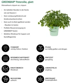 GREENBAR ® Greenbar-Kräuter|Küchenkräuter - GREENBAR® Petersilie, glatt Grün