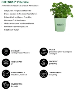 GREENBAR ® GREENBAR® Petersilie 'Mooskrause' Grün Online