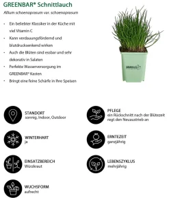 GREENBAR ® Garten- & Heilkräuter|Greenbar-Kräuter - GREENBAR® Schnittlauch Grün