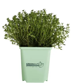 GREENBAR ® GREENBAR® Thymian Grün Sale
