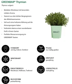 GREENBAR ® GREENBAR® Thymian Grün Sale