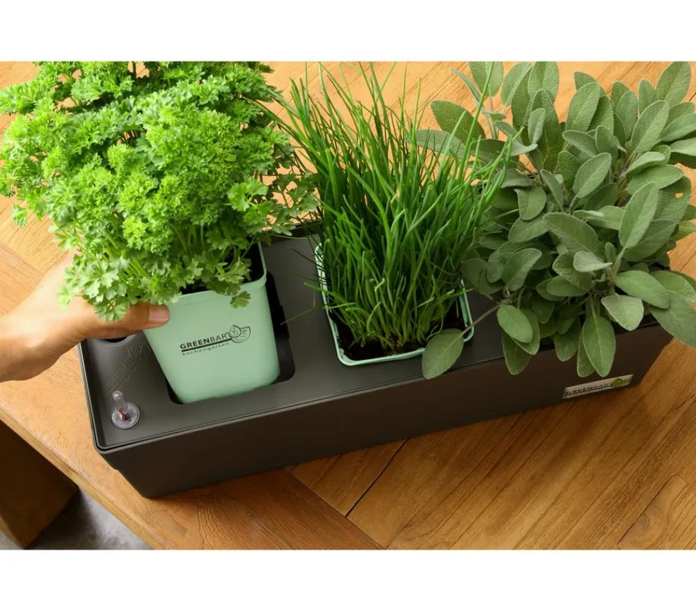 GREENBAR ® GREENBAR® Wasserstandsanzeiger Grau Outlet