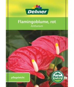Dehner Große Flamingoblume - Anthurium andreanum, Rot Clearance