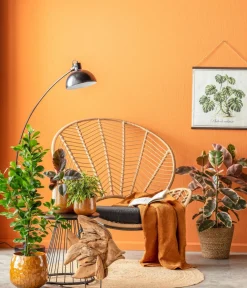 Dehner Grünpflanzen - Gummibaum - Ficus elastica 'Belize' Bunt