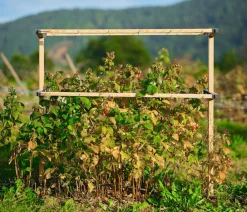 GUSTA GARDEN Rankgitter & Obelisken - Beeren-Rankhilfe Berry Buddy, ca. B119/H139/T35 cm Natur