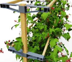 GUSTA GARDEN Rankgitter & Obelisken - Beeren-Rankhilfe Berry Buddy, ca. B119/H139/T35 cm Natur