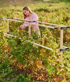 GUSTA GARDEN Rankgitter & Obelisken - Beeren-Rankhilfe Berry Buddy Erweiterung, ca. B119/H139/T35 cm Natur