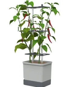GUSTA GARDEN Chili-Pflanztopf Charly Chili XL, ca. B34,7/H138/T28,1 cm Hellgrau Clearance