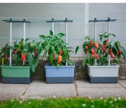 GUSTA GARDEN Pflanzkübel & Blumenkästen|Hochbeete & Frühbeete > Chili-Pflanztopf Charly Chili, ca. B35/H69/T28 cm