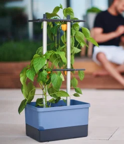 GUSTA GARDEN Pflanzkübel & Blumenkästen|Hochbeete & Frühbeete > Chili-Pflanztopf Charly Chili, ca. B35/H69/T28 cm