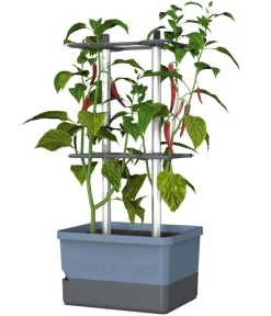 GUSTA GARDEN Pflanzkübel & Blumenkästen|Hochbeete & Frühbeete > Chili-Pflanztopf Charly Chili, ca. B35/H69/T28 cm