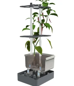 GUSTA GARDEN Pflanzkübel & Blumenkästen|Hochbeete & Frühbeete > Chili-Pflanztopf Charly Chili, ca. B35/H69/T28 cm