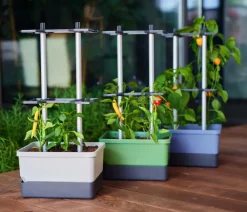 GUSTA GARDEN Pflanzkübel & Blumenkästen|Hochbeete & Frühbeete > Chili-Pflanztopf Charly Chili, ca. B35/H69/T28 cm