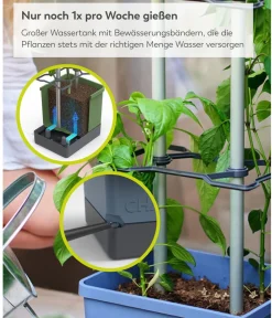 GUSTA GARDEN Pflanzkübel & Blumenkästen|Hochbeete & Frühbeete > Chili-Pflanztopf Charly Chili XL, ca. B34,7/H138/T28,1 cm