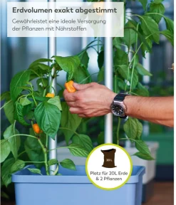 GUSTA GARDEN Pflanzkübel & Blumenkästen|Hochbeete & Frühbeete > Chili-Pflanztopf Charly Chili XL, ca. B34,7/H138/T28,1 cm