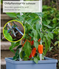 GUSTA GARDEN Pflanzkübel & Blumenkästen|Hochbeete & Frühbeete > Chili-Pflanztopf Charly Chili XL, ca. B34,7/H138/T28,1 cm