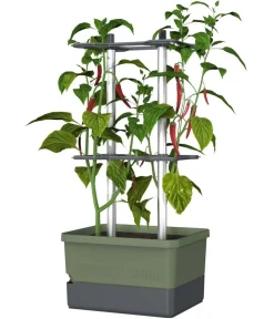 GUSTA GARDEN Chili-Pflanztopf Charly Chili, ca. B35/H69/T28 cm Dunkelgrün Clearance