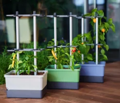 GUSTA GARDEN Chili-Pflanztopf Charly Chili, ca. B35/H69/T28 cm Dunkelgrün Clearance