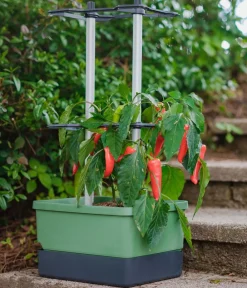 GUSTA GARDEN Chili-Pflanztopf Charly Chili, ca. B35/H69/T28 cm Dunkelgrün Clearance