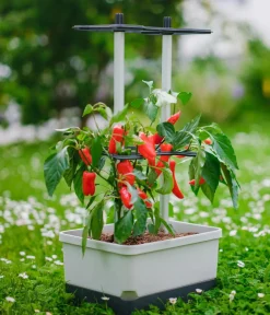 GUSTA GARDEN Pflanzkübel & Blumenkästen|Hochbeete & Frühbeete - Chili-Pflanztopf Charly Chili, ca. B35/H69/T28 cm Hellgrau