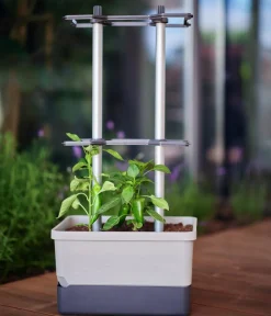 GUSTA GARDEN Pflanzkübel & Blumenkästen|Hochbeete & Frühbeete - Chili-Pflanztopf Charly Chili, ca. B35/H69/T28 cm Hellgrau