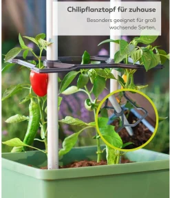GUSTA GARDEN Chili-Pflanztopf Charly Chili XL, ca. B34,7/H138/T28,1 cm Dunkelgrün Best