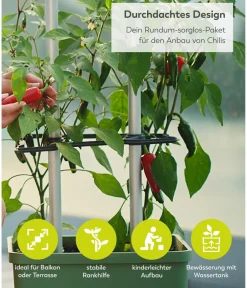 GUSTA GARDEN Chili-Pflanztopf Charly Chili XL, ca. B34,7/H138/T28,1 cm Dunkelgrün Best