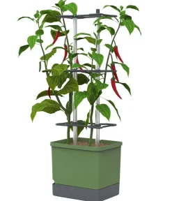 GUSTA GARDEN Chili-Pflanztopf Charly Chili XL, ca. B34,7/H138/T28,1 cm Dunkelgrün Best