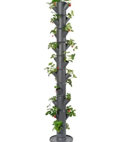 GUSTA GARDEN Hochbeete & Frühbeete - Erdbeerbaum Sissi Strawberry Infinity, ca. B32/H185/T27 cm Dunkelgrau