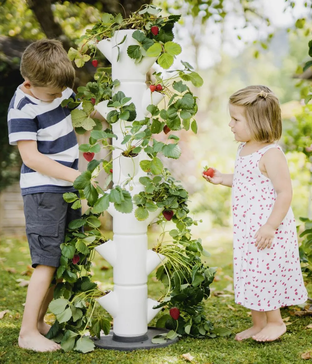 GUSTA GARDEN Hochbeete & Frühbeete > Erdbeerbaum Sissi Strawberry Classic, ca. B32/H113/T27 cm