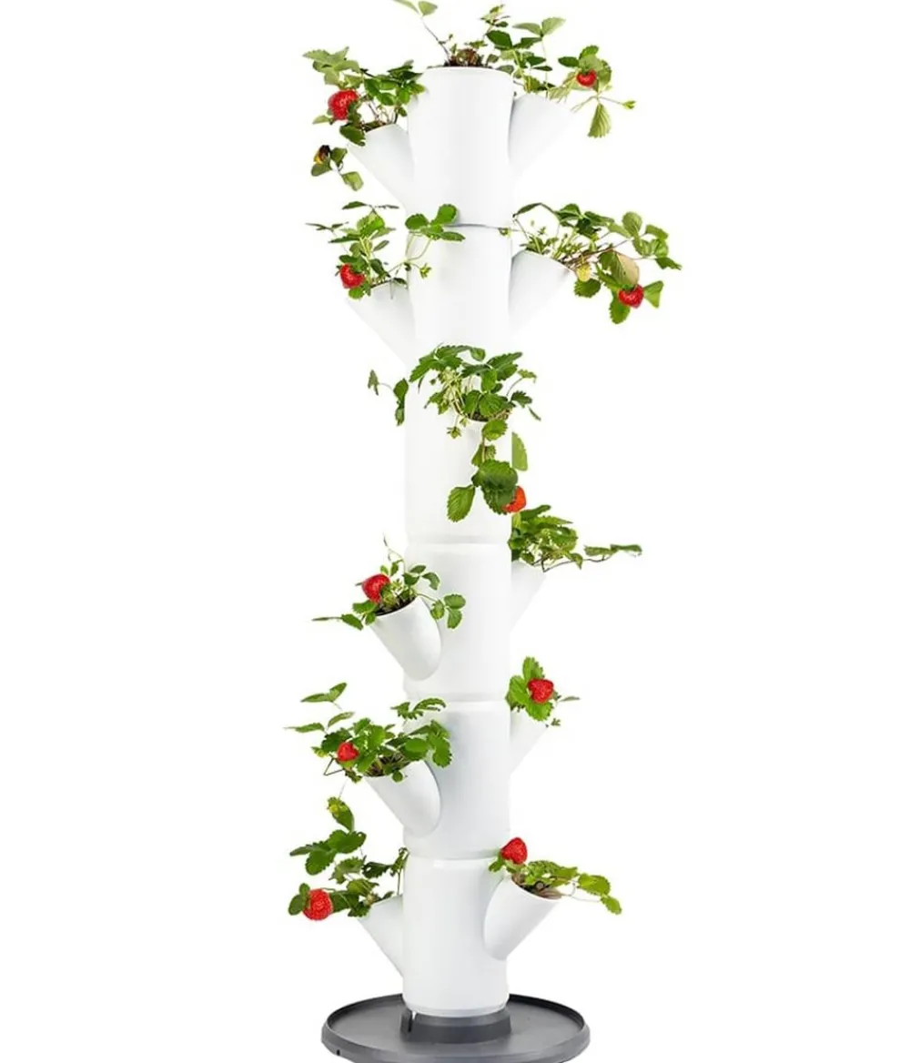 GUSTA GARDEN Hochbeete & Frühbeete > Erdbeerbaum Sissi Strawberry Classic, ca. B32/H113/T27 cm
