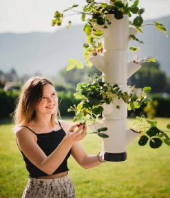 GUSTA GARDEN Hochbeete & Frühbeete > Erdbeerbaum Sissi Strawberry, hängend, ca. B27/H77/T27 cm