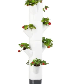 GUSTA GARDEN Hochbeete & Frühbeete > Erdbeerbaum Sissi Strawberry, hängend, ca. B27/H77/T27 cm
