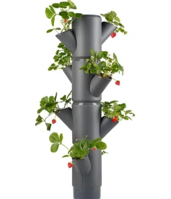 GUSTA GARDEN Hochbeete & Frühbeete - Erdbeerbaum Sissi Strawberry, hängend, ca. B27/H77/T27 cm Dunkelgrau