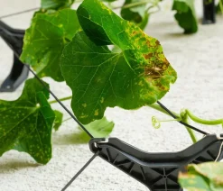 GUSTA GARDEN Rankgitter & Obelisken > Gurken-Rankhilfe Cucumber Buddy, ca. B18/H108/T14 cm, 3er-Set
