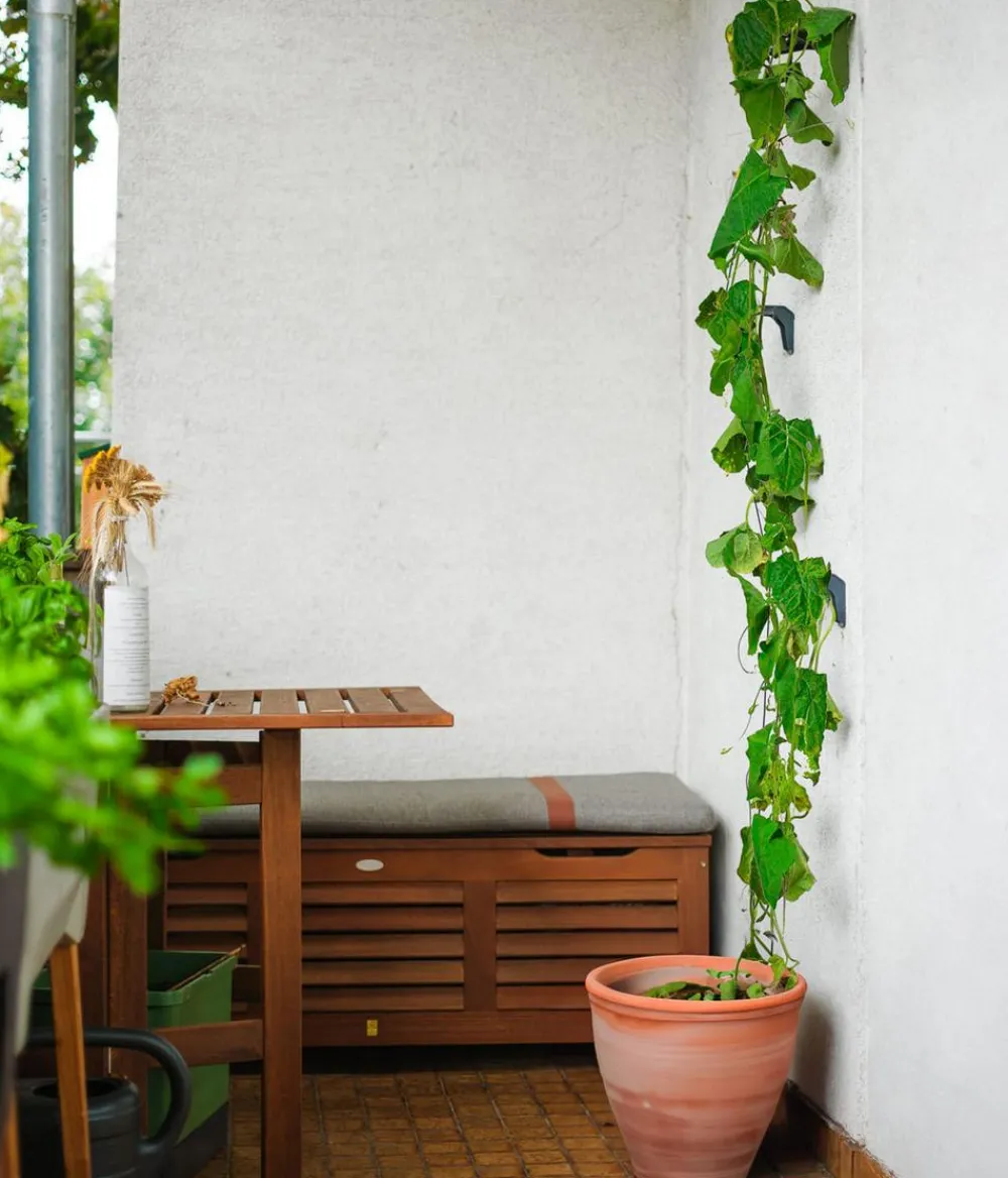 GUSTA GARDEN Rankgitter & Obelisken > Gurken-Rankhilfe Cucumber Buddy, ca. B18/H108/T14 cm, 3er-Set