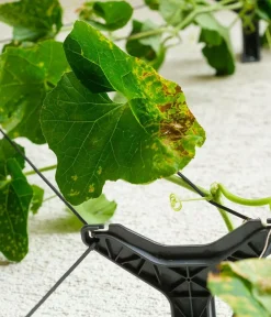 GUSTA GARDEN Gurken-Rankhilfe Cucumber Buddy, ca. B18/H108/T14 cm Anthrazit Best
