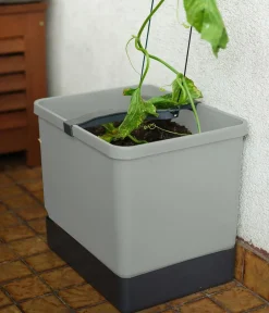 GUSTA GARDEN Blumentöpfe & Übertöpfe|Hydrosysteme > Gurken-Topf Curt Cucumber, ca. B35/H138/T28 cm