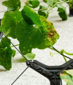 GUSTA GARDEN Gurken-Topf Curt Cucumber, ca. B35/H138/T28 cm Blau Online