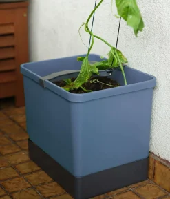 GUSTA GARDEN Gurken-Topf Curt Cucumber, ca. B35/H138/T28 cm Blau Online