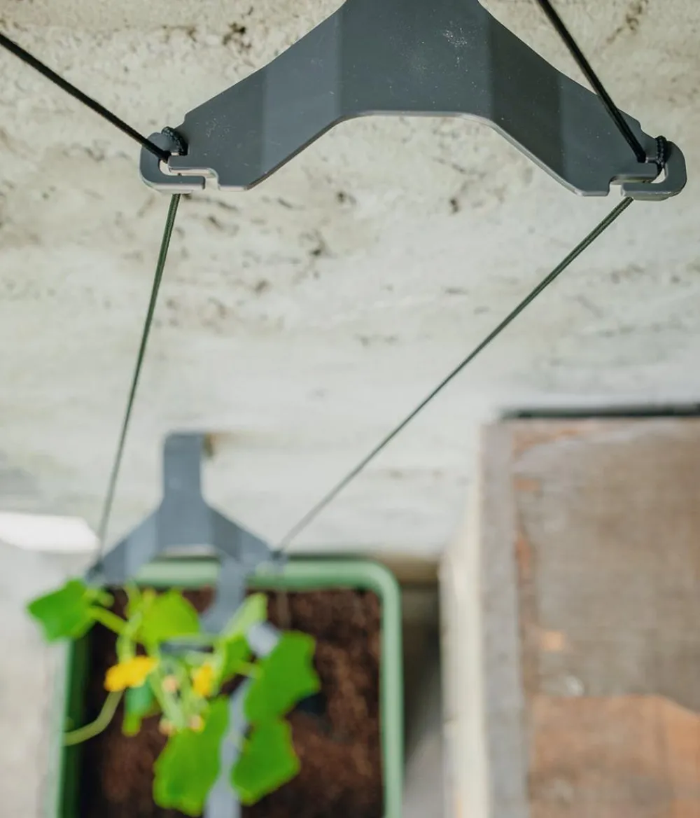 GUSTA GARDEN Gurken-Topf Curt Cucumber, ca. B35/H138/T28 cm Blau Online