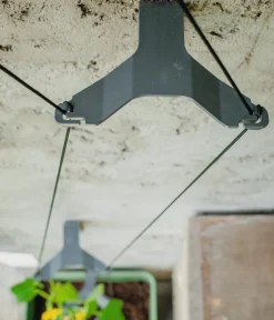 GUSTA GARDEN Blumentöpfe & Übertöpfe|Hydrosysteme - Gurken-Topf Curt Cucumber, ca. B35/H138/T28 cm Dunkelgrün
