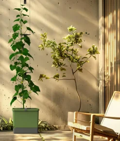 GUSTA GARDEN Blumentöpfe & Übertöpfe|Hydrosysteme - Gurken-Topf Curt Cucumber, ca. B35/H138/T28 cm Dunkelgrün
