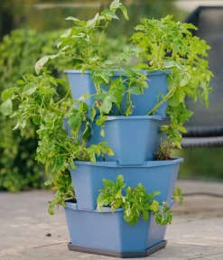 GUSTA GARDEN Hochbeete & Frühbeete > Kartoffelturm Paul Potato Starter, 4 Etagen, ca. B44/H65/T44 cm