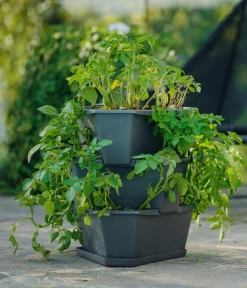 GUSTA GARDEN Hochbeete & Frühbeete > Kartoffelturm Paul Potato Starter, 3 Etagen, ca. B44/H50/T44 cm