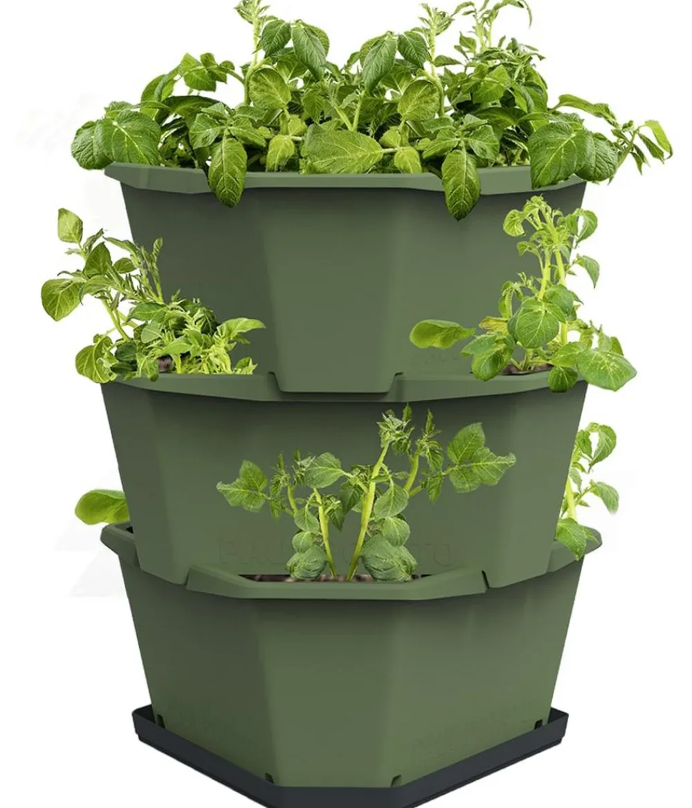 GUSTA GARDEN Kartoffelturm Paul Potato Starter, 3 Etagen, ca. B44/H50/T44 cm Dunkelgrün Clearance