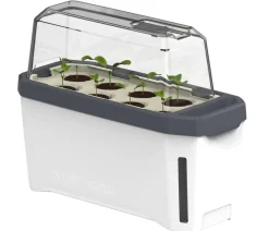 GUSTA GARDEN Hydrosysteme|Blumentöpfe & Übertöpfe > Kräutertopf Harry Herbs mit Anzuchthaube, ca. B36/H25/T15 cm