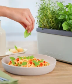 GUSTA GARDEN Hydrosysteme|Blumentöpfe & Übertöpfe > Kräutertopf Harry Herbs, ca. B36/H16/T15 cm